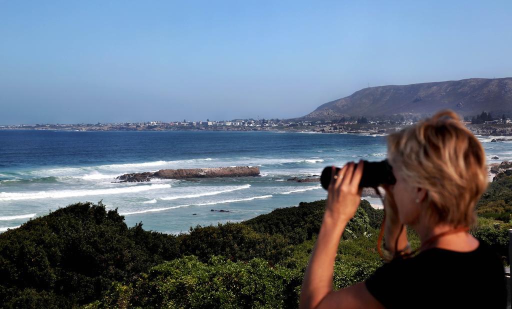 Hermanus Beach Villa Esterno foto